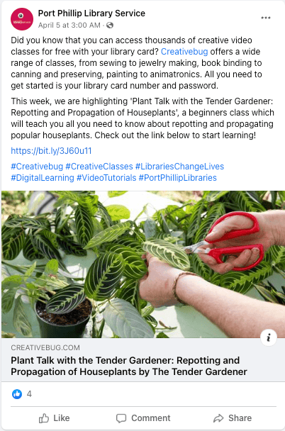 Facebook Post example